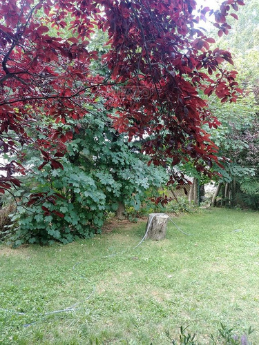 Imagen 4 de 26 de Casa + 2 Departamos En Venta Ubicado En Jardín Botánico, Bariloche, Patagonia