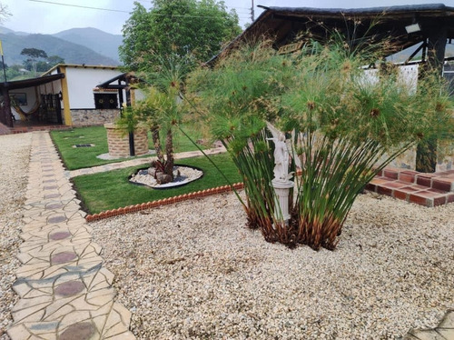 Finca En Bejuma Camino Verde