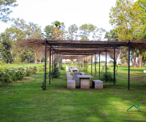 Imagen 5 de 16 de Lote En Country Los Tres Pinos