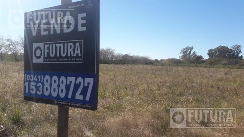 Imagen 3 de 3 de Terreno A La Venta 450m2, Oliveros