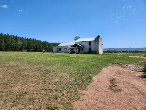 Imagen 2 de 30 de Chacra 5 Hs Con 2 Casas - Consulte !!! - Zona Rural Zona Rural