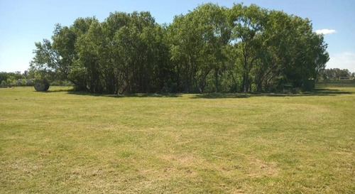 Imagen 6 de 7 de Terreno En Venta En Maschwitz
