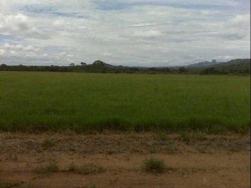 Imagen 5 de 25 de Finca De 400 Has En Sabana Grande De Orituco