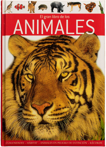 El Gran Libro de los: Animales.: Libro de preguntas y respuestas : El Gran Libro de los Animales, de Bignotti, Francesca. Editorial Silver Dolphin (en español), tapa dura en español, 2022