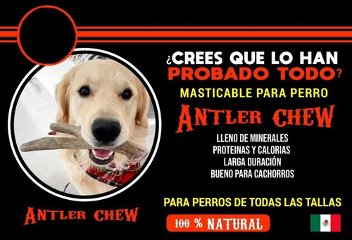 Hueso Para Perro Pack 3.