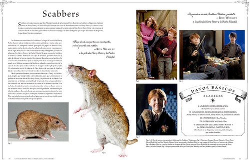 Imagen 6 de 6 de Harry Potter: Los Archivos De Las Películas Vol. 5.
