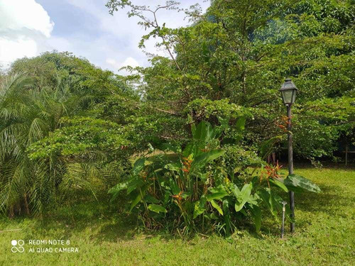 Imagen 15 de 25 de Casa En Safari Municipio Libertador