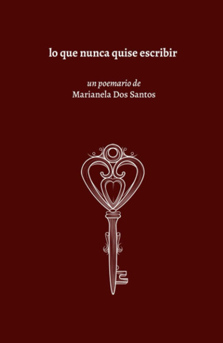 Lo Que Nunca Quise Escribir: Poesia Joven (spanish Edition)