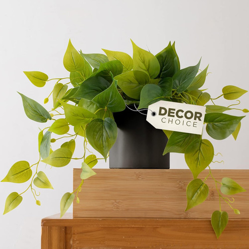 Forever Leaf Plantas Artificiales De Interior, Plantas Artif