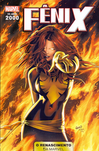 Anos 2000 Renascimento Marvel - Vol. 07, De Marvel., Vol. Dc Comics/marvel Comics. Editora Panini, Capa Mole Em Português, 20