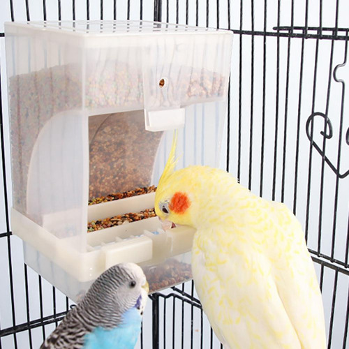 Comedero Para Pájaros Transparente Y Automático Para Semilla