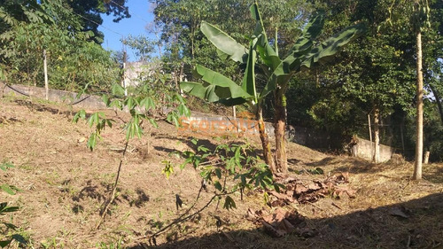 Imagem 13 de 14 de Chácara À Venda, Jardim Renata, Itapecerica Da Serra/sp. - 6383