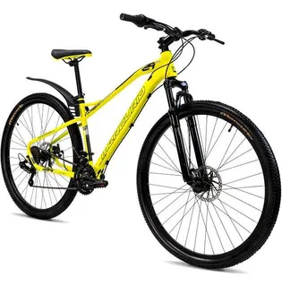 Bicicleta Mercurio R29 