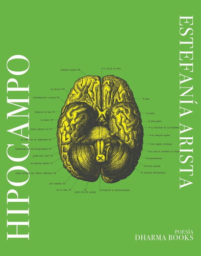 Hipocampo, De Arista, Estefanía. Editorial Dharma Books, Tapa Blanda En Español, 1