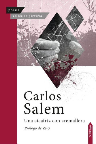 Libro: Una Cicatriz Con Cremallera. , Salem, Carlos. Averso 