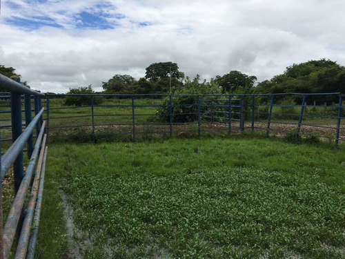 Imagen 12 de 21 de Finca Cerca De Rio Tiznado A 50 Km De Calabozo