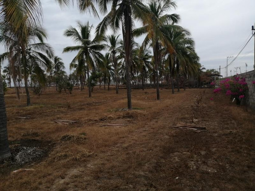 Imagen 2 de 3 de Terreno Comercial En Venta Los Mogotes Pie De La Cuesta