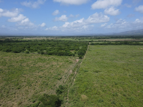 Imagen 1 de 30 de Finca En Venta Aguadagrande, Siquisique Cod. 23-7859