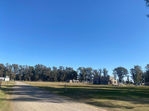 Imagen 9 de 18 de Lote De 1000m2 En Club De Campo Los Tres Pinos - Barrio Isla - General Rodríguez