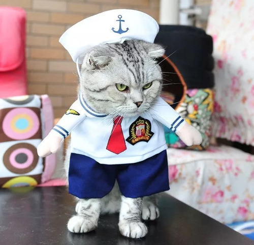 Disfraz Cosplay De Mascotas Gato Perro Marinero Halloween 