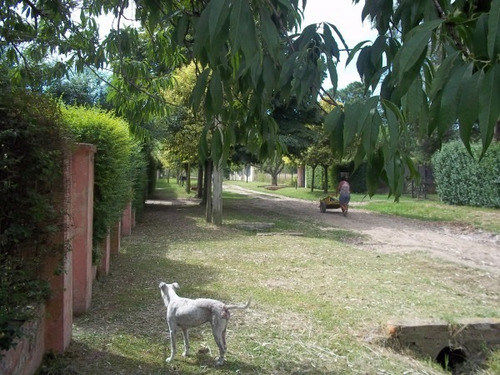 Imagen 14 de 14 de Casa Quinta 4 Ambientes