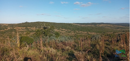 76 Has Campo En Sierras De Garzón