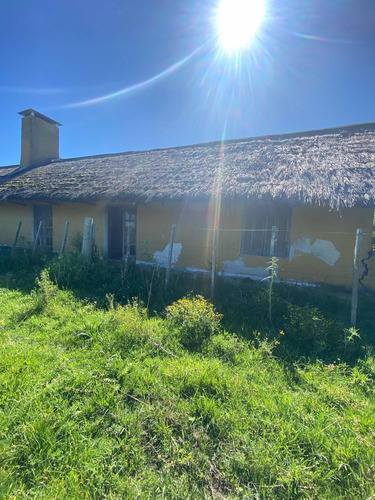 Venta De 9 Hectáreas En Empalme Olmos.!