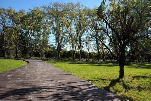 Imagen 12 de 12 de Importante Terreno En Fighiera