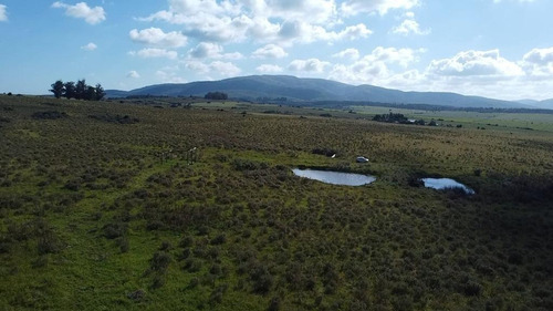 Venta De Parte De Un Campo Compartido De 5htas En Sierra De Las Ánimas