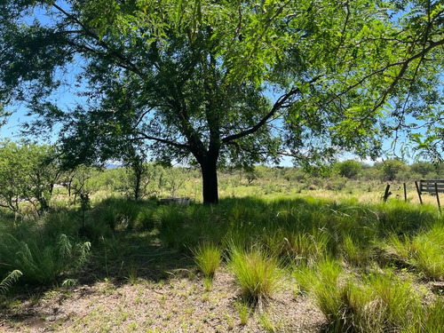 Venta Campo Villa Quillinzo (40 Hectareas) Ideal Para Loteo
