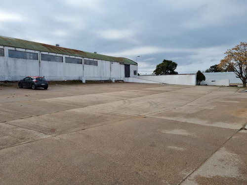 Imagen 10 de 16 de Depósito - Centro Logístico, Ruta 67 Próximo Ruta 5,las Piedras, 1250 M2 , Altura 7 Mts, Nuevo , Vig 24 Hs !!