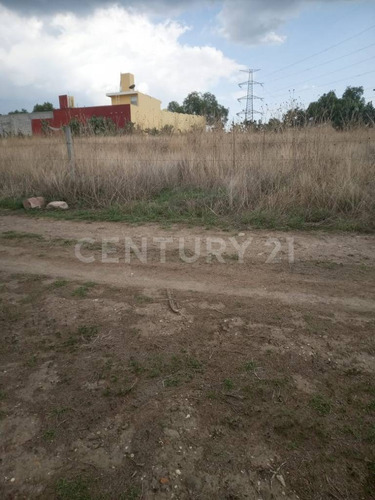 Imagen 6 de 6 de Venta De Terreno En La Purificación, Texcoco, Edo México