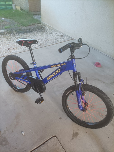 Bicicleta Baccio Bambini Dlx Rodado 20