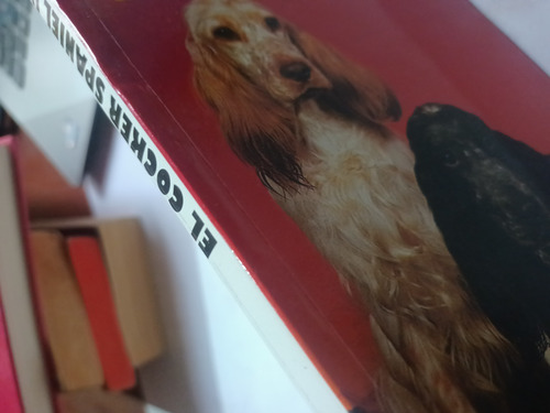 Imagen 2 de 5 de El Cocker Spaniel Inglés Robert Gannon