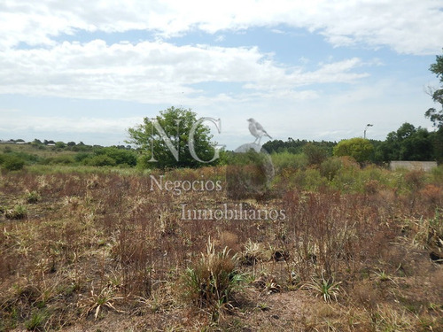 Imagen 8 de 14 de 3 Padrones De Campo Para Inversión!