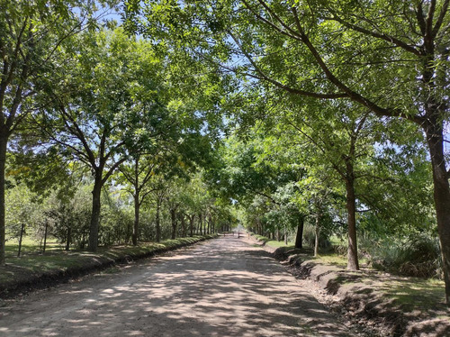 Imagen 8 de 9 de Chacra - Loma Escondida