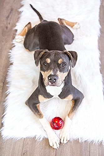 Pet Qwerks Blinky Bobble Ball Juguete De Perro De Medium