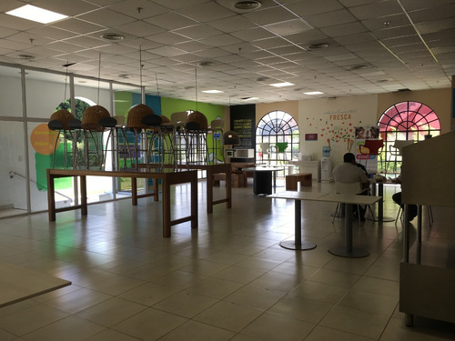 Imagen 9 de 14 de Planta Industrial En Calle 225 Bernal | 35.797 M2