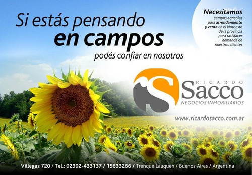 Campo En Venta En Rivadavia