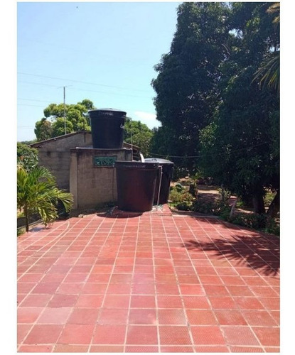 Imagen 5 de 14 de Se Vende Finca Sobre La Cordialidad, Santa Catalina