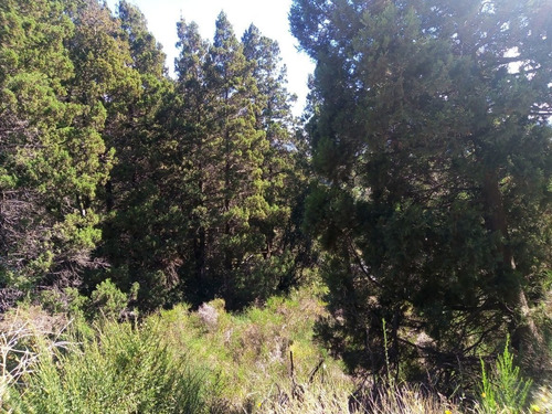 Imagen 1 de 4 de Fida Patagonia. Terreno En Venta De 3600m2 Ubicado En San Martin De Los Andes