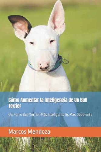 Como Aumentar La Inteligencia De Un Bull Terrier: Un Perro B