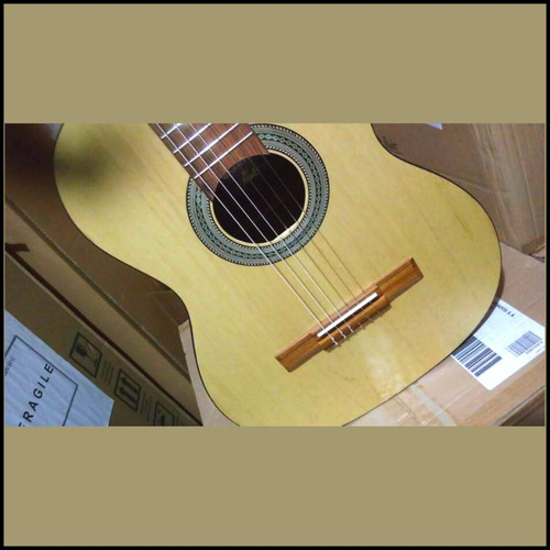 Guitarra Giannini Nw1 Goal Ns
