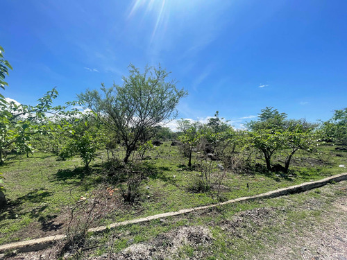 Terrenos En Venta Atlatlahucan Morelos