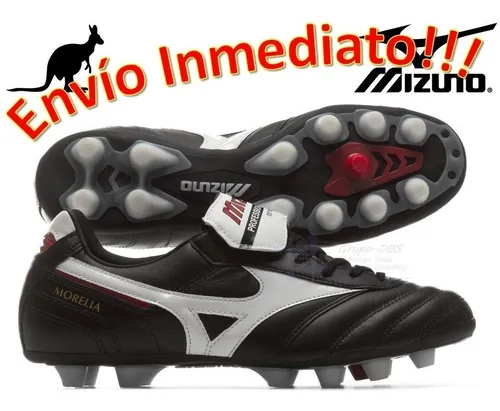 Morelia sales 2 md