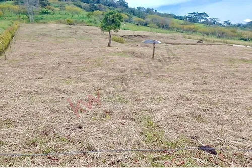 Excelente Lote Dentro De Parcelacion Cerca A Via Principal (12109).