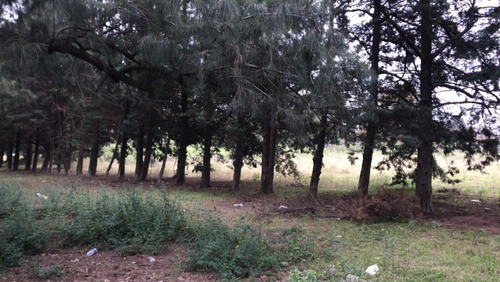 Imagen 5 de 6 de Lote En Calle Beschtedt, Luján