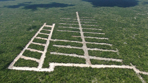 Terreno De 230 M2 Y 300 M2 En Zaria, Progreso