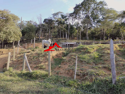Imagem 27 de 30 de Terreno, Mato Dentro, Tremembé - R$ 450 Mil, Cod: 60140 - V60140