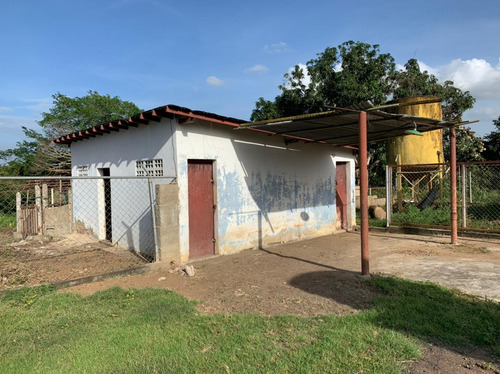 Imagen 17 de 18 de Se Vende Finca En Guayuta Ve02-009gcn -az